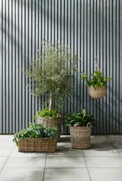 Trädgårdskruka SANSEBIE Ø40/50 2 St/set -Utemöbler affär 149781